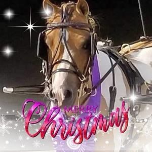 Meet your Posher, Lynn